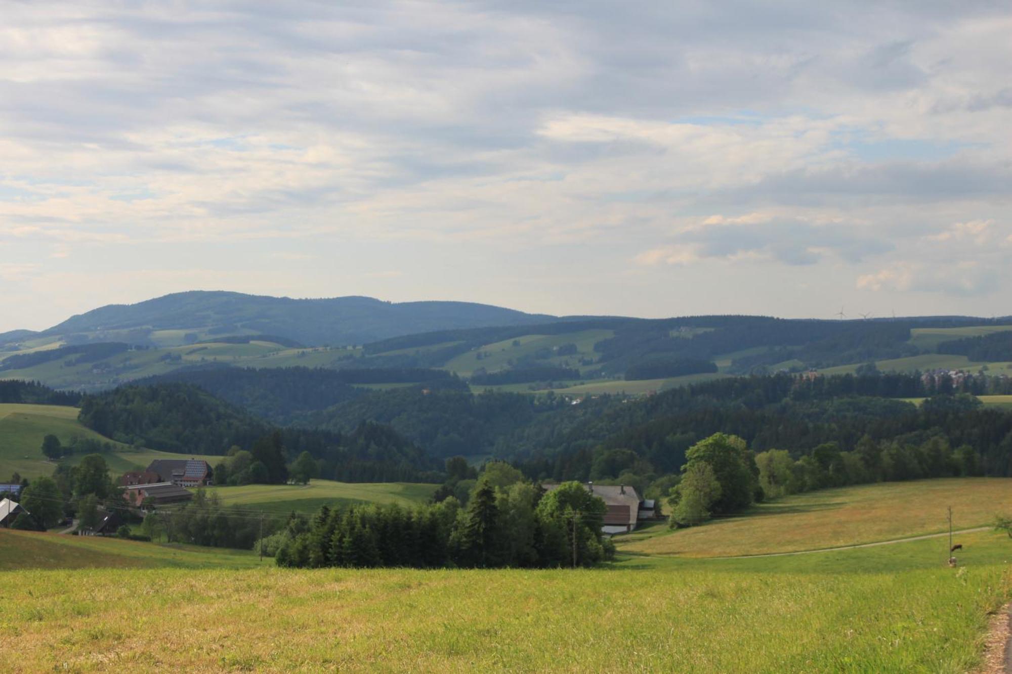Ferienwohnungen Rebstock Schonach im Schwarzwald Exteriör bild
